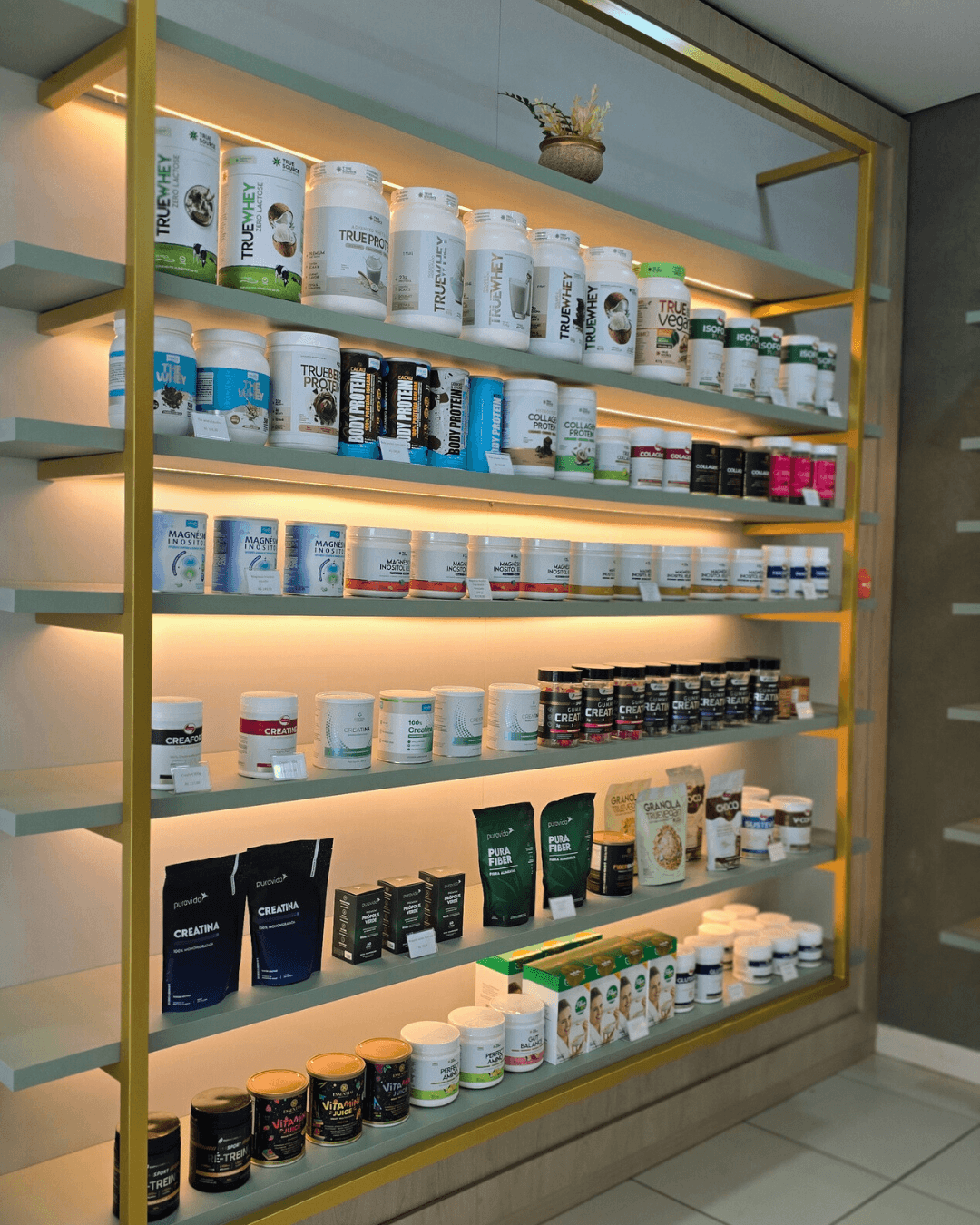 Design sem nome (12) (1)